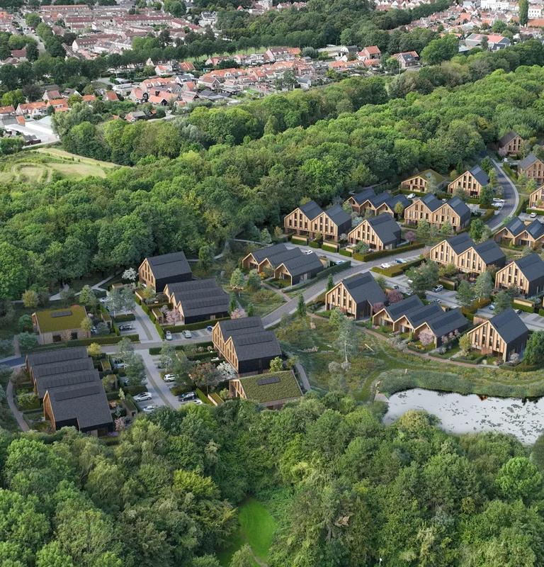 vogelvlucht woningen de heerlijckheid