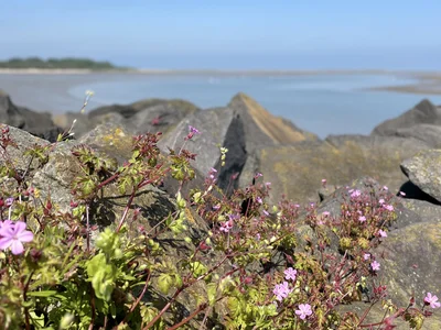 Eilanders maken elke dag hun eiland schoner en mooier