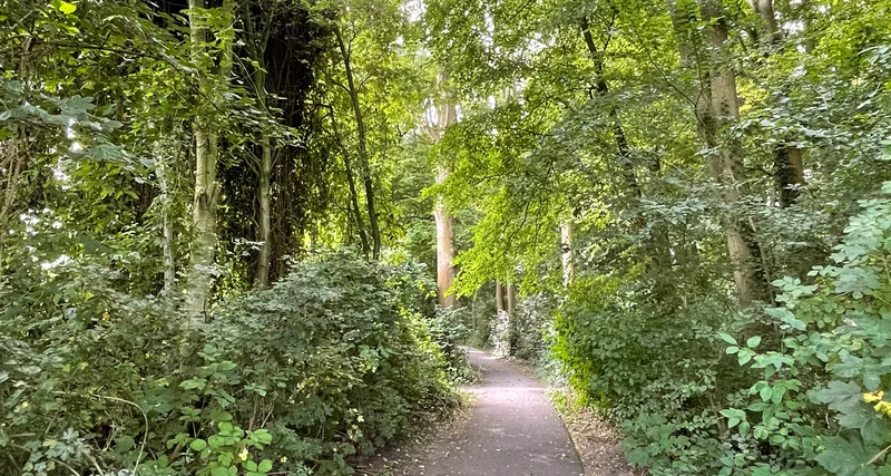 Avontuurlijk groen op Hernesseroord